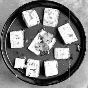 Paneer Chatpata