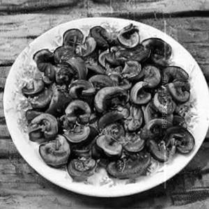 Mushroom Duplex