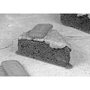 Lotus Biscoff Brownies