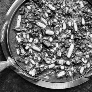 Palak Corn  