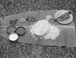 Fish Fry Meals