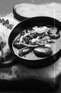 Handi mushroom
