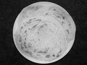 Parotta