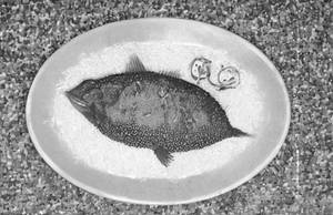 Tawa Fish