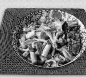 Mushroom Oyster