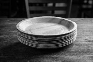 Biodegradable Plates