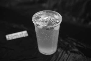 Mint Mojito