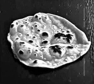 Butter chapati