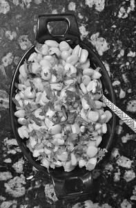 Plain Corn