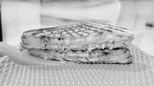 Cheese grilled sandwich