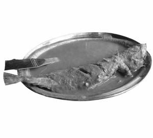 Bangdi Masala
