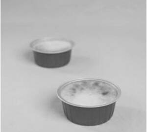 Creme Caramel Pastry
