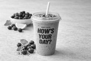 Fresh Blueberry Protein Blend