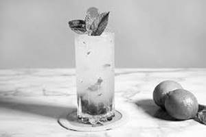 Sweet Lime Mint Mojito