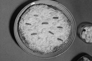 Jain Sweet Corn Pizza