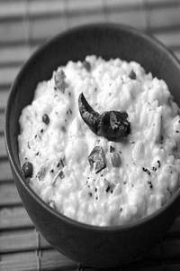 Curd Rice