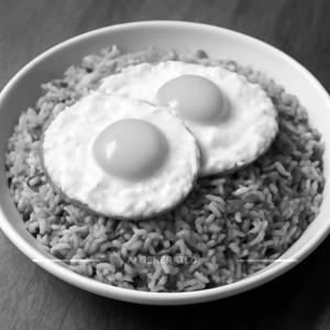 Double egg rice