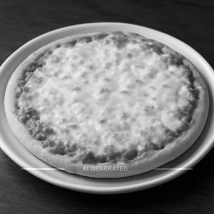 Extra Cheese Pizza