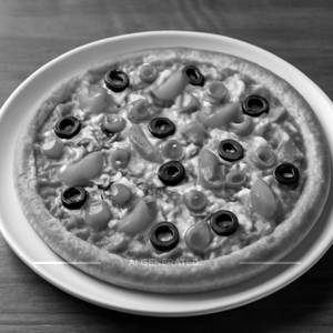 Veg. Pizza