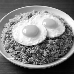 Double egg fried rice
