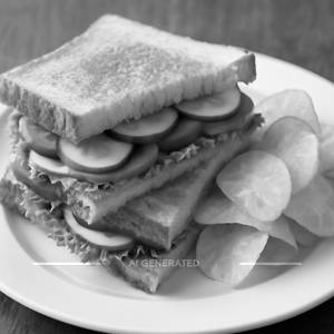 Veg plain sandwich