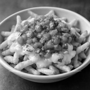Salsa Cheese Fries