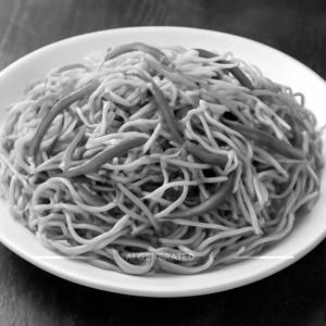 Veg Hakka Noodles