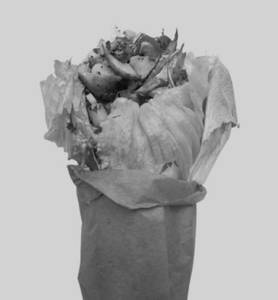 Shawarma Lettuce Wrap
