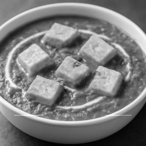 Paneer Begam Bahar