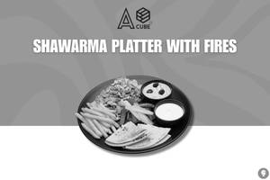 Shawarma Platter with fries