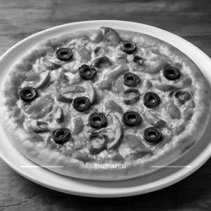 Veg Special Pizza