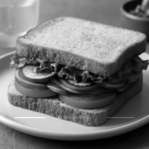 Vegetable Sandwich