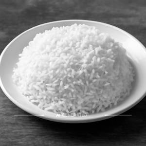 Plain Rice