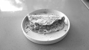 High Protein Onion Mushroom Omlette (2 Whole Eggs + 1 Egg White)