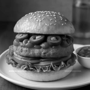 Mexican Burger