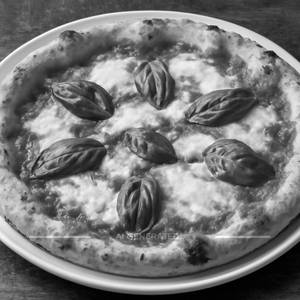 Margherita Pizza