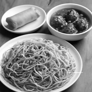 Veg manchuriangravy + veg noodles + spring roll