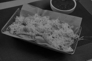Cheese French Fries