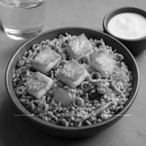 Paneer Veg Biryani