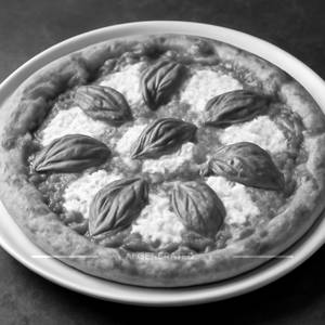 Margherita Pizza