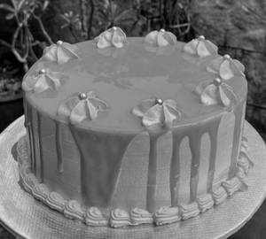 Pink Forest Cake