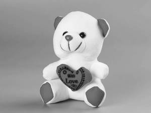 Teddy