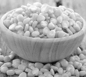 Sweet Corn
