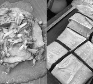 Chicken Elai Parotta