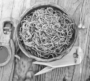 Veg noodles