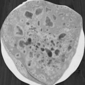 Plain Paratha
