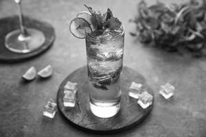 Mojito