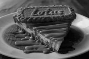 Biscoff Cheese Cake [ Vegan ]
