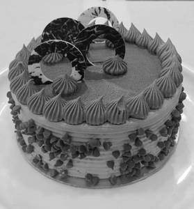 Eggless - ChocoChip Cake  - 500 GM