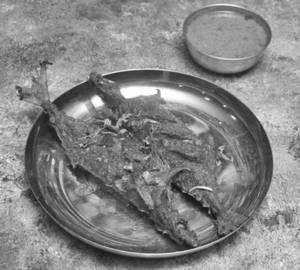 Bangda Fry